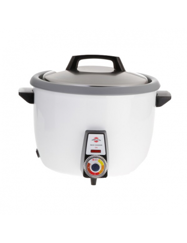 Rice cooker model TS 361