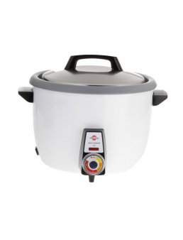 Rice cooker model TS 361