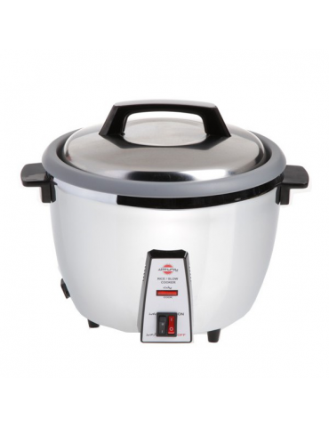 Rice cooker slow cooker model 101